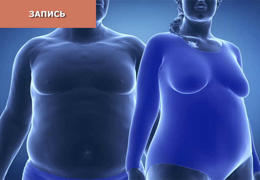 Эффективные методы лечения ожирения в ТКМ Эффективные методы лечения ожирения в ТКМ