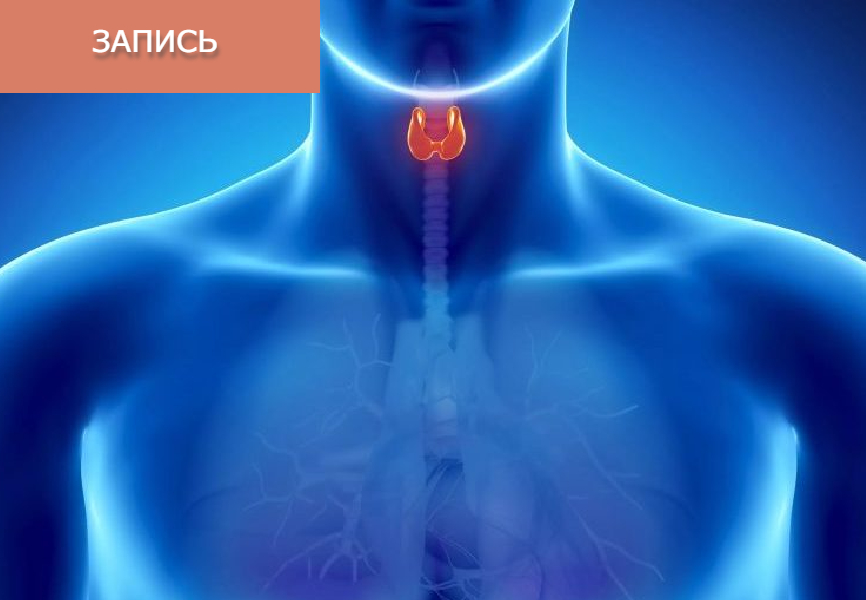 Лечение заболеваний щитовидной железы методами китайской медицины