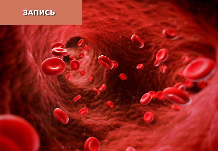 Застой Крови: сравнительная характеристика и особенности применения средств, двигающих Кровь