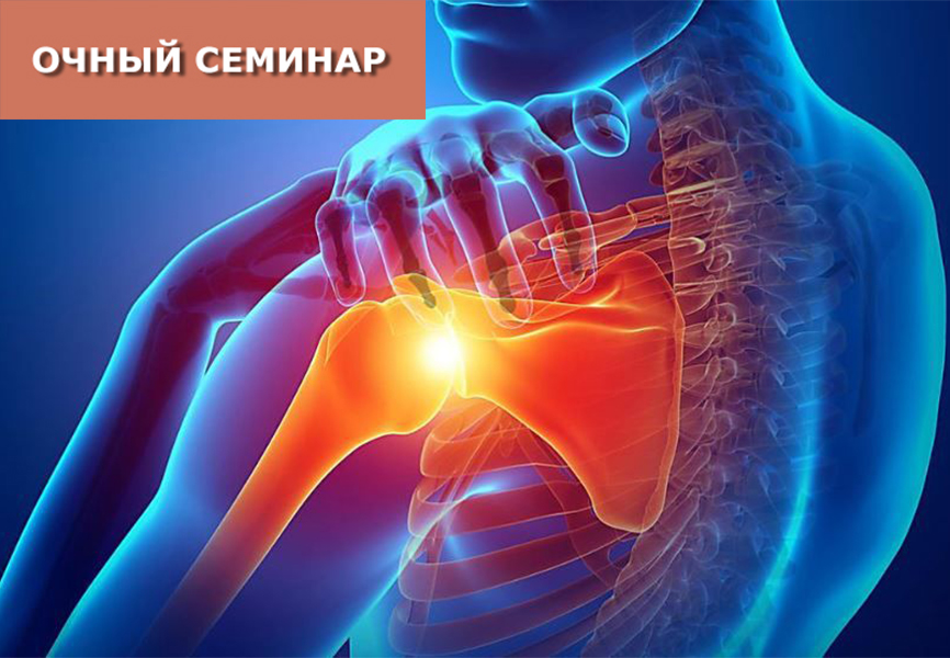 Рефлексотерапия и биопунктура биорегуляционными препаратами Хеель в лечении невропатии лицевого нерва и плечелопаточного периартрита Рефлексотерапия и биопунктура биорегуляционными препаратами Хеель в лечении невропатии лицевого нерва и плечелопаточного периартрита